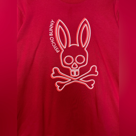 Physco bunny rio red embroidered sweatshirt comes with the sweatpants as well - Picture 3 of 8